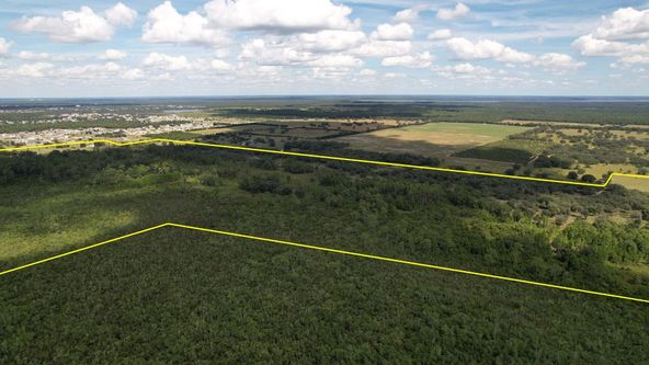 Lake Hatchineha Road Residential: 9500 Lake Hatchineha Rd, Haines City, FL 33844